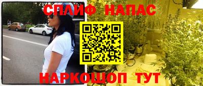 гидра Краснознаменск