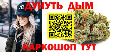 гидра Краснознаменск
