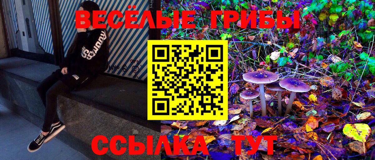 Псилоцибиновые грибы Magic Shrooms  Вход с VPN  Галлюциногенные грибы Psilocybine cubensis  Шебекино 